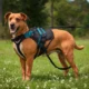 MyHarness