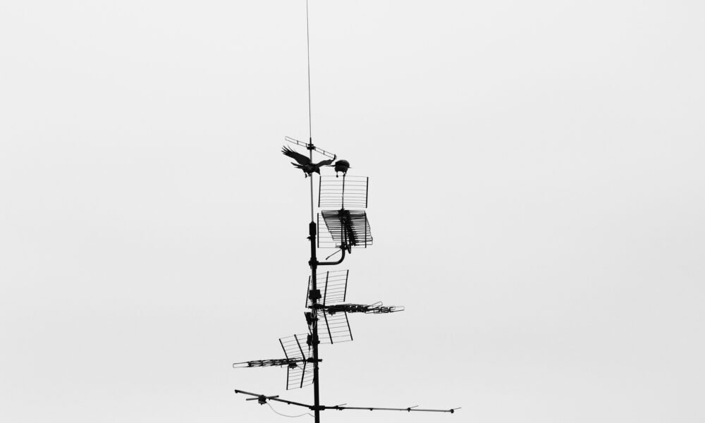 Arial and aerial