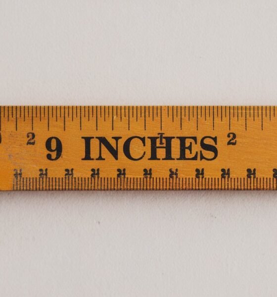 how long is 9 inches